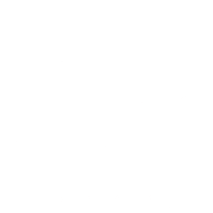 Logo Flamemotion
